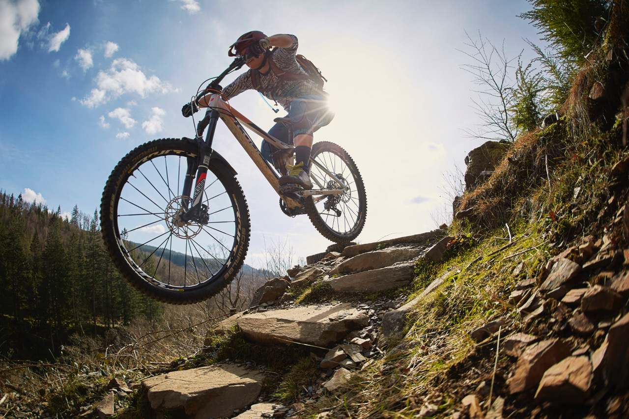 Mountain biker on singletrack through forest at Coed y Brenin