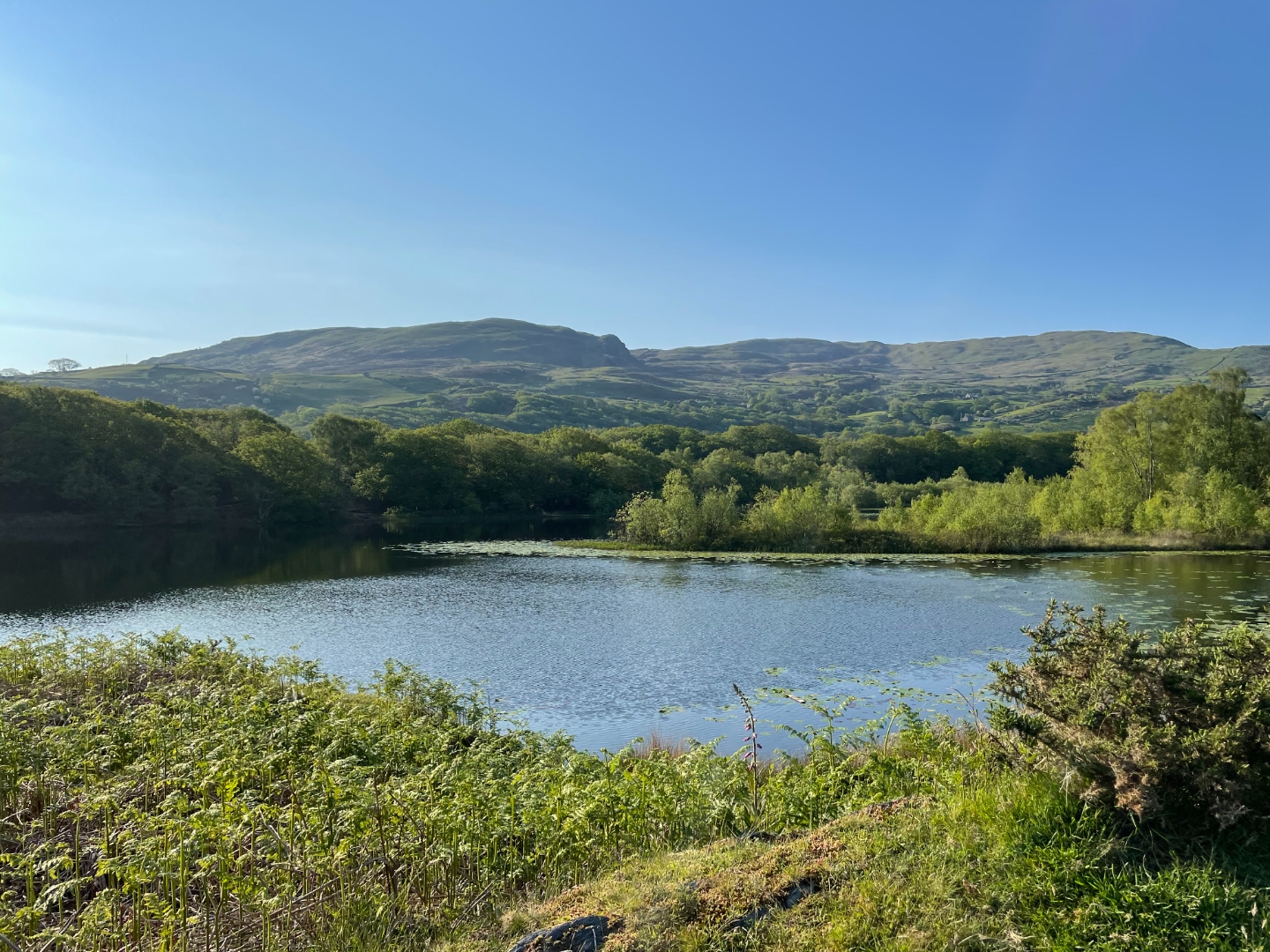 Peaceful lake surrounded by rolling hills