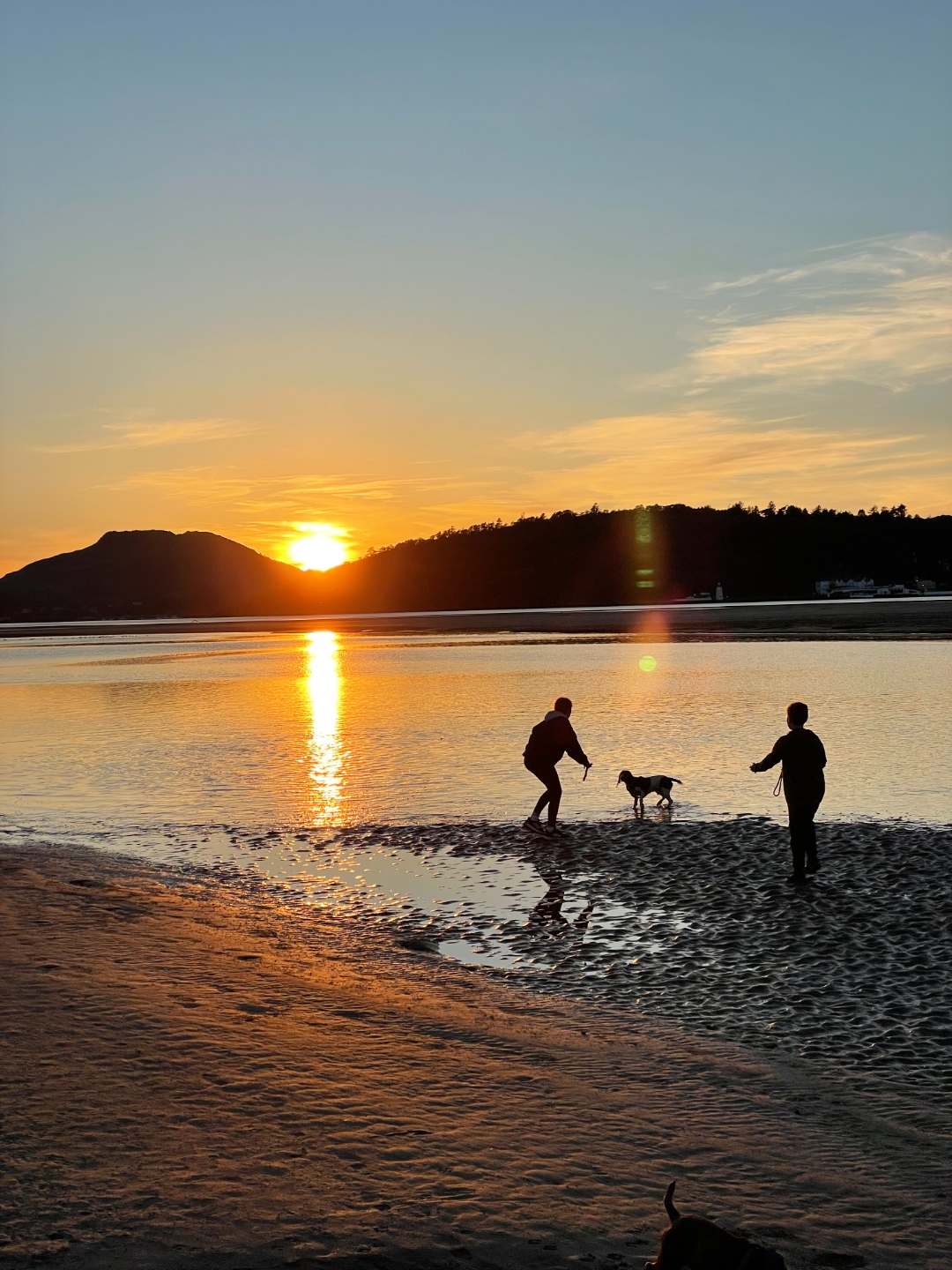 Silhouettes walking a dog on the sands at sunset