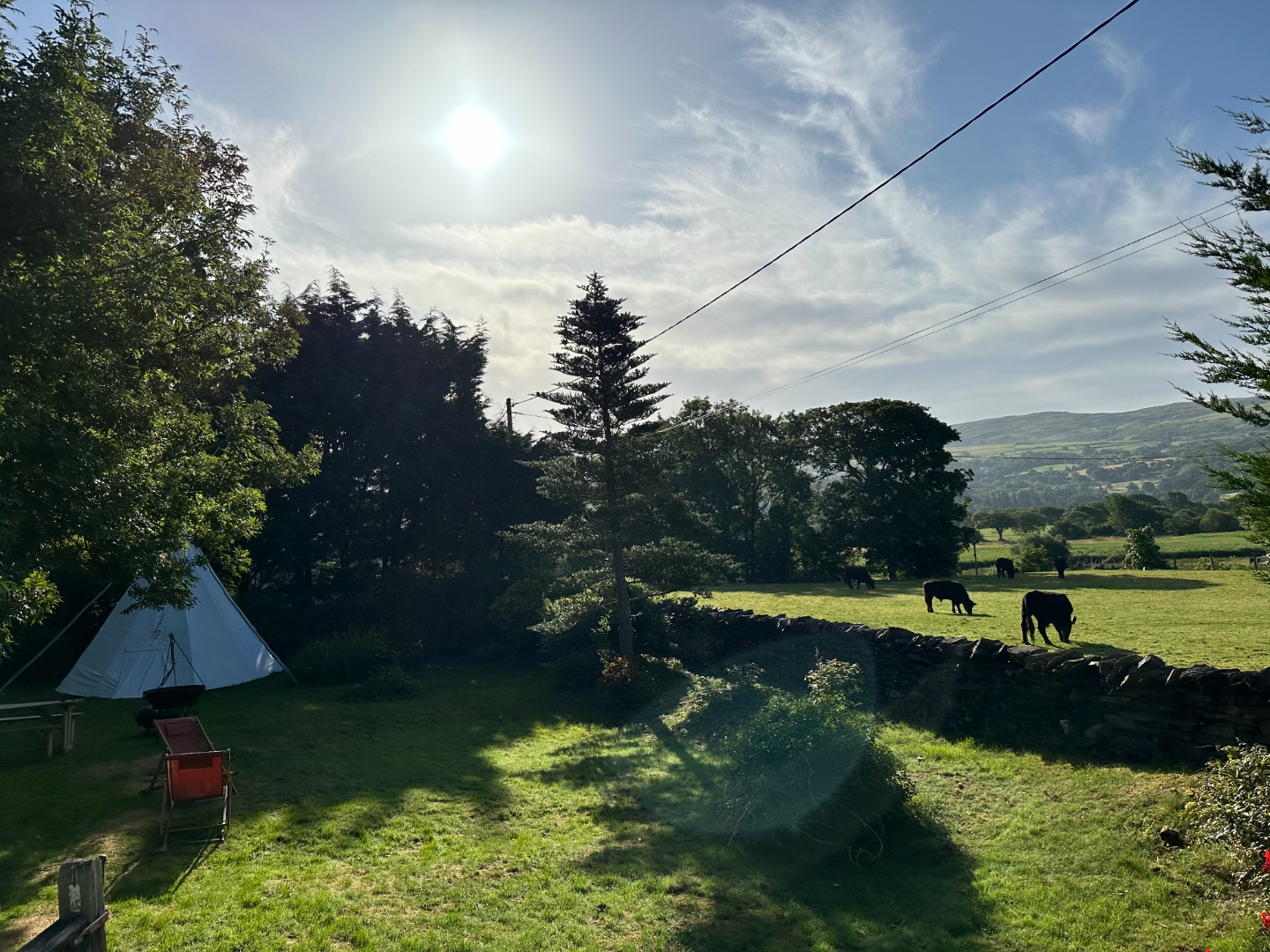 Garden with tipi, fire pit, and cows grazing beyond the stone wall
