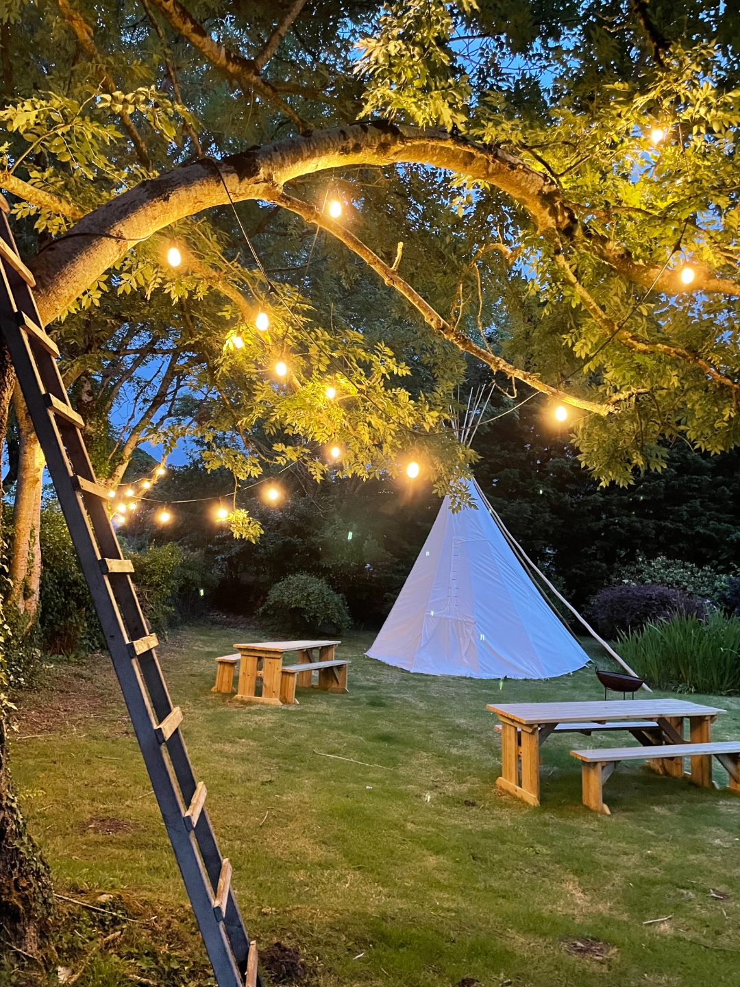 Canvas tipi with festoon lights glowing at twilight